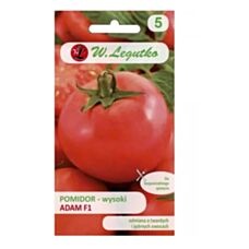 Pomidor wysoki Adam F1 0,3g Legutko