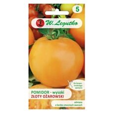 Pomidor złoty Ożarowski - 0,5g Legutko