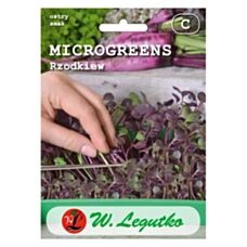 Rzodkiew Microgreens 1kg Legutko
