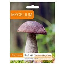 Grzybnia Koźlarz czarnobrązowy 10g Mycelium