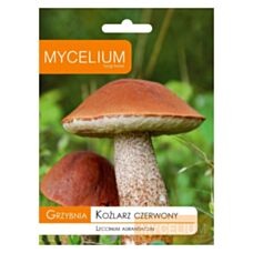 Grzybnia Koźlarz czerwony 10g Mycelium