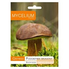 Grzybnia Podgrzybek brunatny 10g Mycelium 