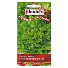 Sałata dębolistna zielona DUBACEK (Baby leaf, młode listki) 0,5g PlantiCo