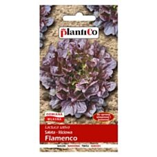 Sałata liściowa Flamenco 0,5g Plantico