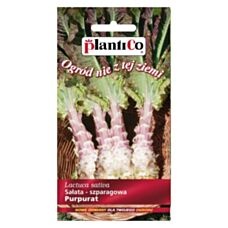 Sałata łodygowa Purpurat 0,5g PlantiCo