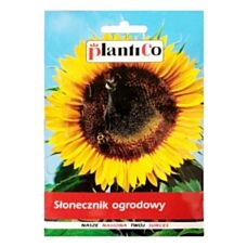 Słonecznik ogrodowy 10g PlantiCo