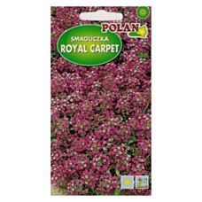 Smagliczka Royal carpet 1g Polan