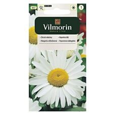 Złocień właściwy biały 0,5g Vilmorin