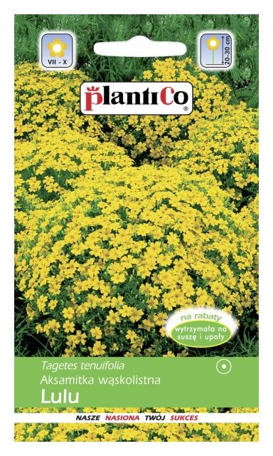 Aksamitka wąskolistna LULU 1g PlantiCO