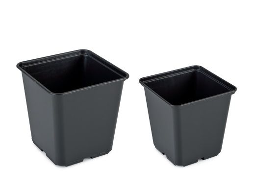Doniczki kwadratowe seria EX 100 szt. Interplast2