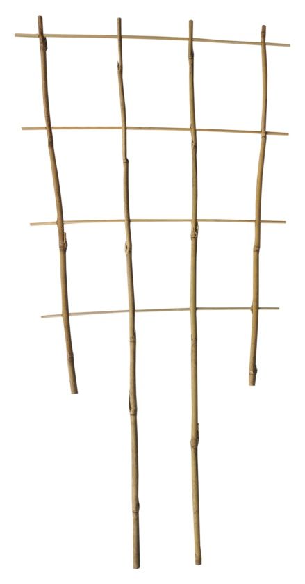 Drabinka bambusowa
