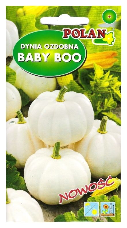 Dynia ozdobna Baby Boo 1,5g Polan 