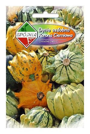 Dynia ozdobna Korona Cierniowa 1g Spójnia
