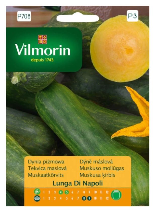 Dynia piżmowa Lunga Di Napoli 2g Vilmorin