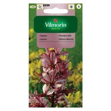 Dyptam 0,2g Vilmorin