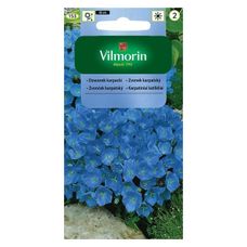 Dzwonek Karpacki 0,5g Vilmorin
