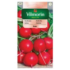 Rzodkiewka Ester 5g Vilmorin