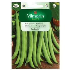 Fasola szparagowa Contender 30g Vilmorin