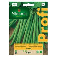 Fasola szparagowa karłowa Primel 30g Vilmorin