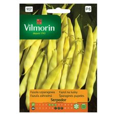 Fasola szparagowa Serpedor 30g Vilmorin