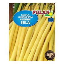 Fasola szparagowa karłowa Erla Polan