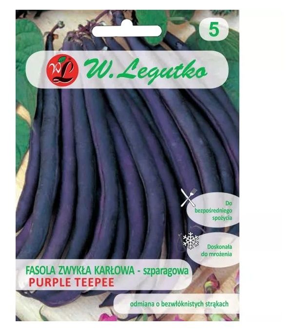 Fasola szparagowa Purple Teepee 40g Legutko
