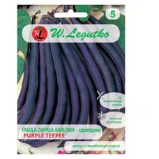 Fasola szparagowa Purple Teepee 40g Legutko