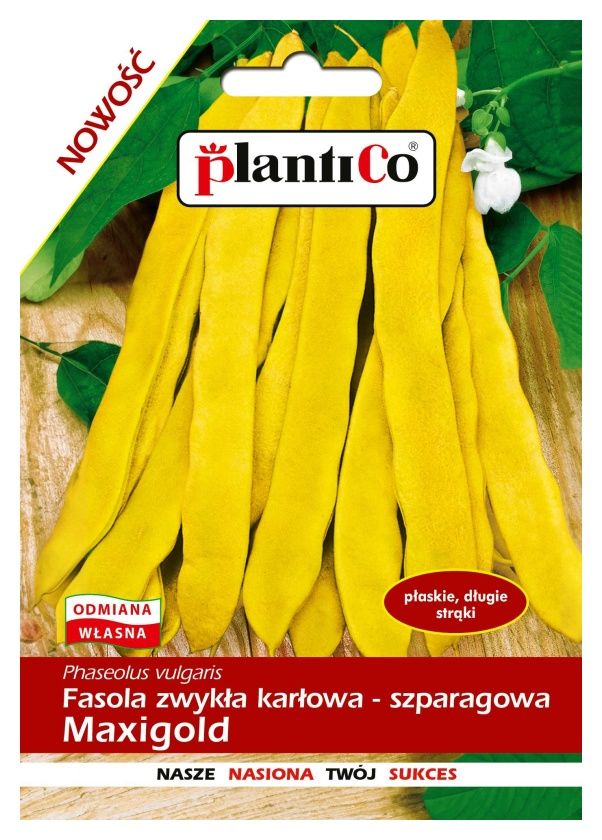 Fasola szparagowa żółta Maxigold 30g Plantico