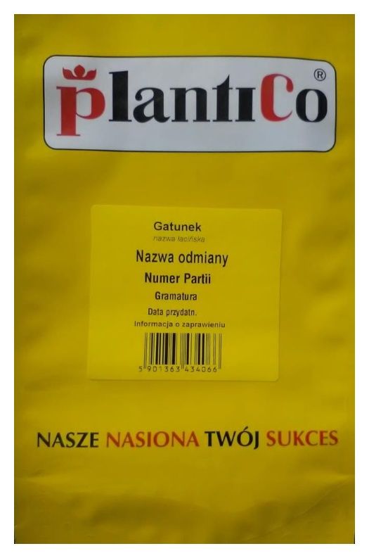 Fasola szparagowa zielona Batumi 500g Plantico