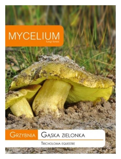 Grzybnia Gąska zielonka 15g Mycelium 
