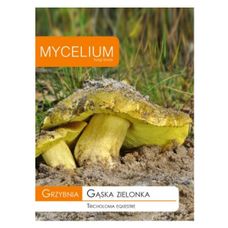 Grzybnia Gąska zielonka 15g Mycelium