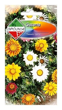 Gazania mix 0.5 g Spójnia