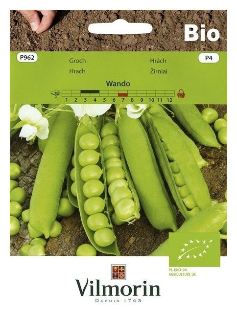 Groch Wando 30g bio Vilmorin