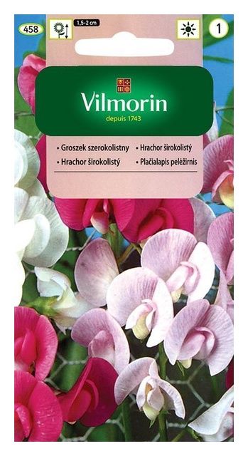 Groszek szerokolistny 1g Vilmorin