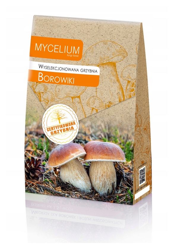 Grzybnia Borowiki 120ml Mycelium1