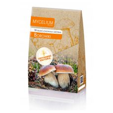 Grzybnia Borowiki 120ml Mycelium1