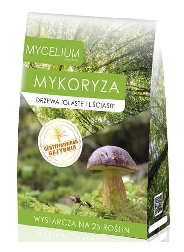Grzybnia mikoryza drzewa iglaste i liściaste 125ml Mycelium1