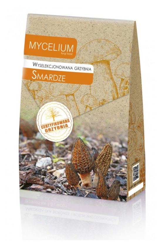 Grzybnia Smardze 120ml Mycelium1