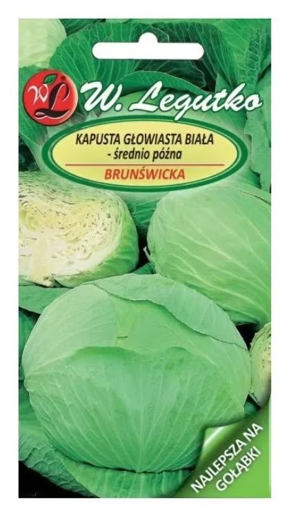Kapusta głowiasta biała - średnio późna Brunświcka Legutko11