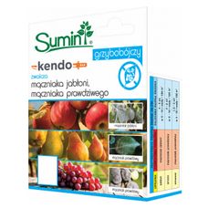 Kendo 50EW Sumin