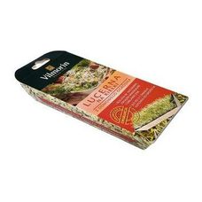 Kiełkownica + lucerna na kiełki 10g Vilmorin