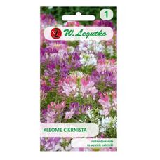 Kleome ciernista - mieszanka 0,5g Legutko
