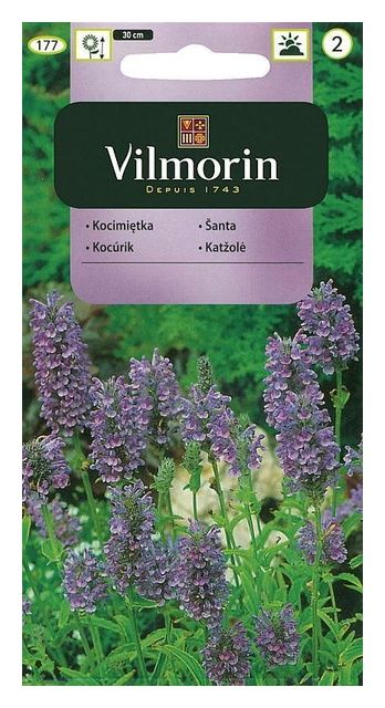 Kocimiętka niebieska 0,5g Vilmorin