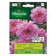 Kosmos Rose Bonbon Vilmorin