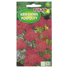 Krwawnik pospolity różowy 0,2g Polan