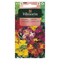 Lak pospolity mix 1g Vilmorin