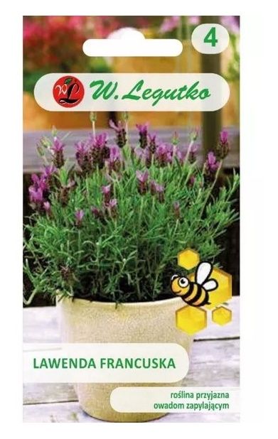 Lawenda Francuska fioletowa 0,03g Legutko