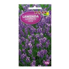 Lawenda lekarska 0,4g Polan