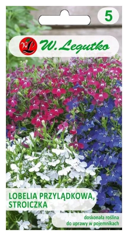 Lobelia przylądkowa Stroiczka mix 0,3g Legutko