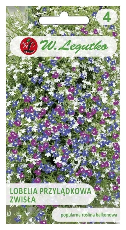 Lobelia przylądkowa zwisła mix 0,2g Legutko